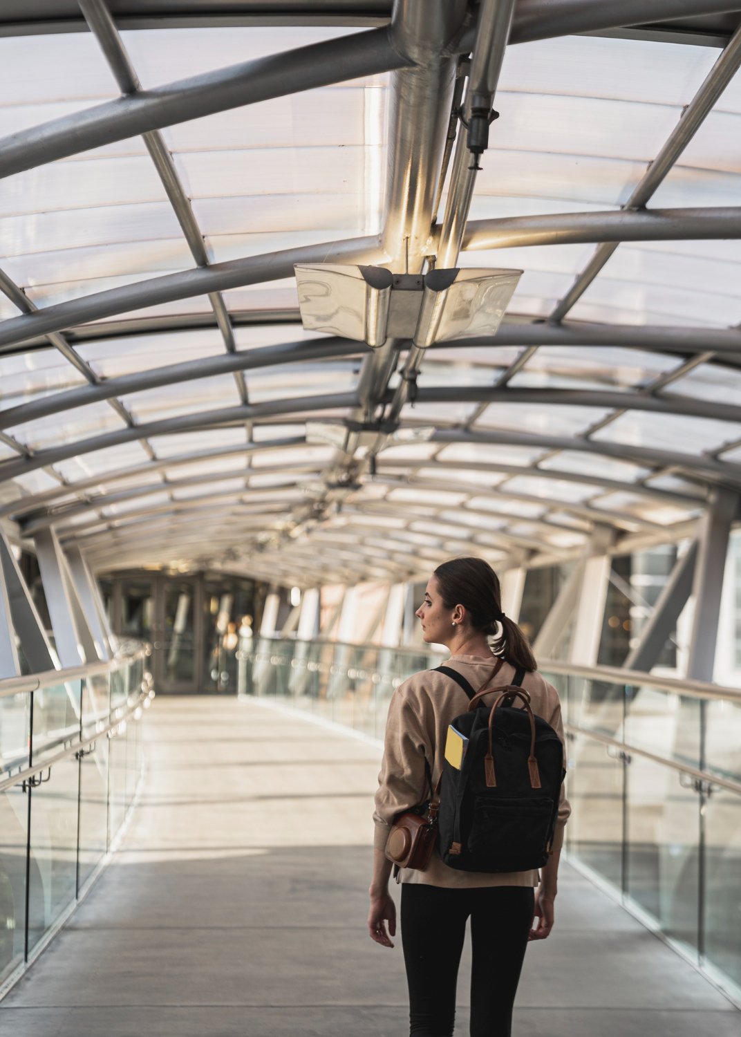 Planes a futuro de Immigration Crew - Crecimiento y expansión de servicios